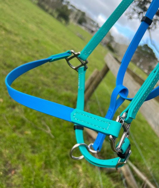 LS Enduro Bridle- Teal & Cyan Blue