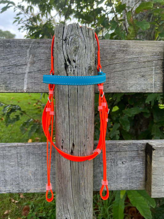 LS Barcoo Bridle - Lagune & Bright Orange