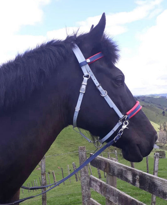 Biothane®️Endurance Bridle, 2 part bridle, deluxe bridle, trekking bridle, bridle. Equestrian, horse tack, endurance tack, biothane tack, bitless bridle, trekking bridle, horse, equine, beta biothane, beta, reflective, reflective biothane, reflective bridle, English bridle, cavesson bridle, Hanoverian bridle, English bridle, bridle with flash, flash noseband, racing bridle, race bridle, hackamore bridle, multi bridle, side pull bitless bridle