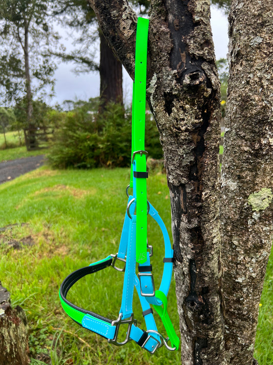 A vivid green and blue LS Equestrian halter from the "Design Your Own - LS Deux Padded Halter" collection hangs on a tree branch in a park, with lush grass and trees in the background. The overcast sky enhances this serene outdoor setting, ideal for showcasing handcrafted New Zealand pieces.