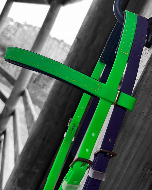 Padded Race Bridle - Bright Green & Purple
