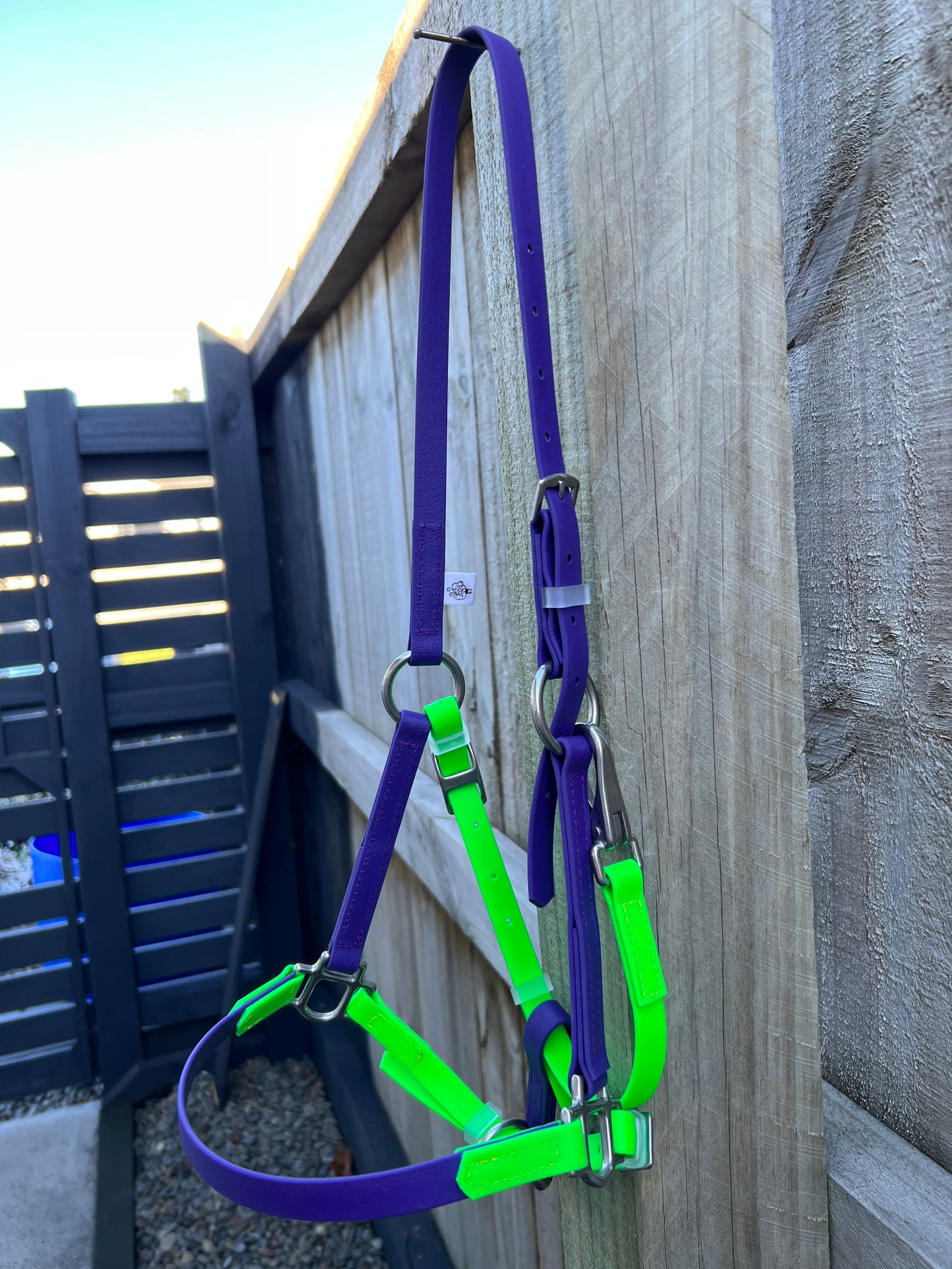 Cabezada LS Deux - Verde fluro y morado