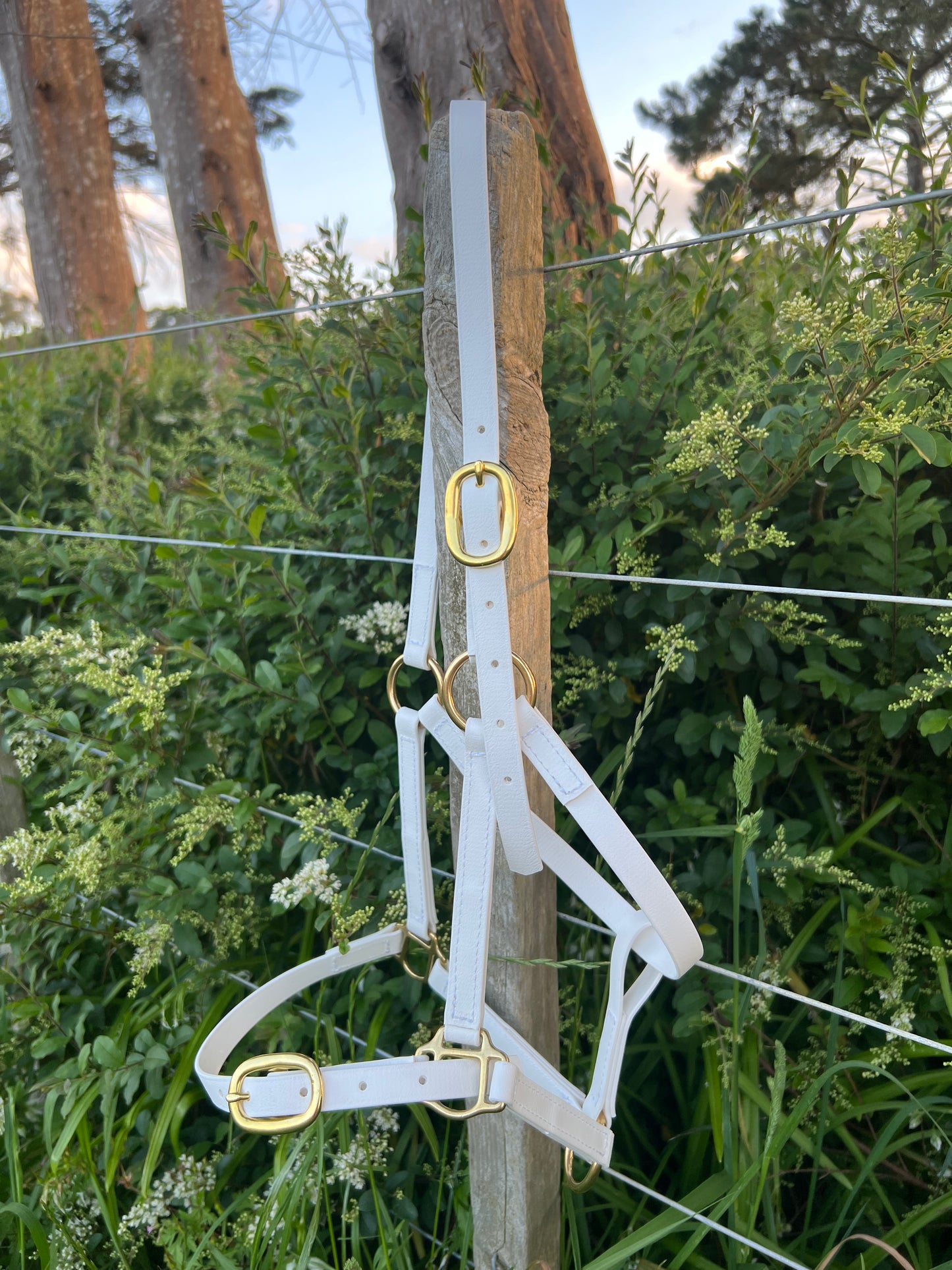 A custom white Buckle Nose Halter by LS Equestrian, featuring brass fittings, dangles from a wooden post with green foliage and trees in the backdrop.