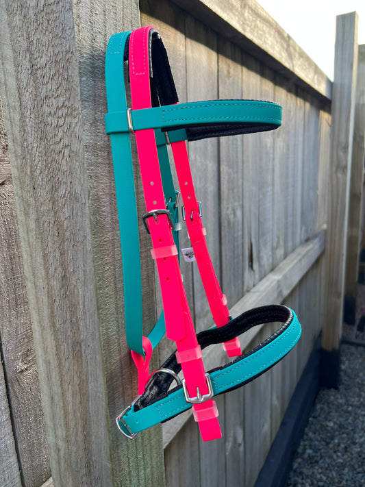 Simplicity Bridle - Teal & Bright Pink