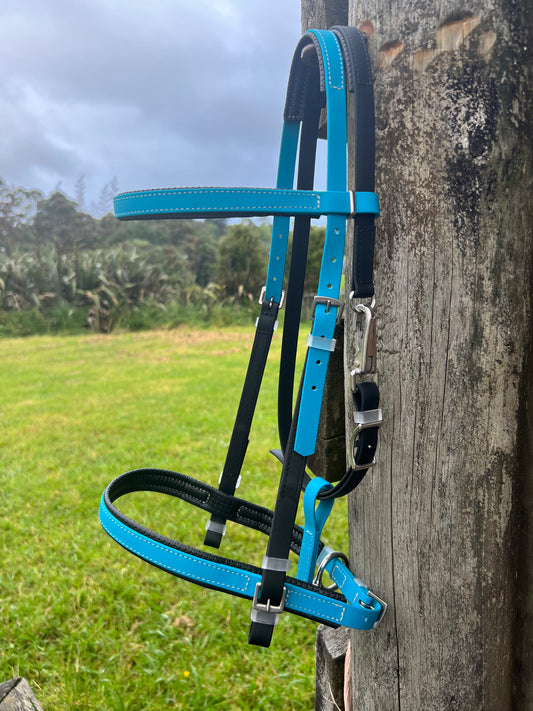 Simplicity Bridle - Black & Lagune