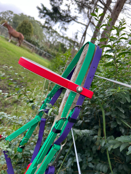LS Deux Bridle - Red, Emerald Green & Purple