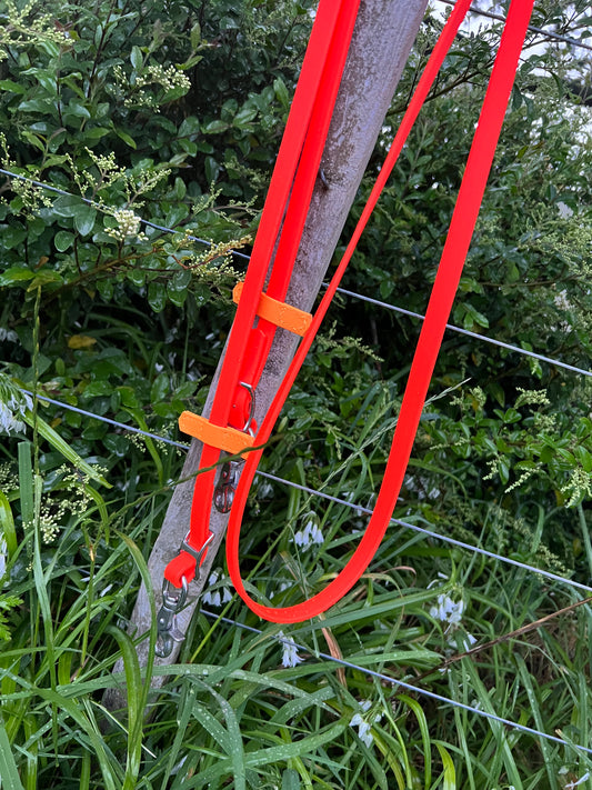 Reins - Full BioThane Non split Bright Orange