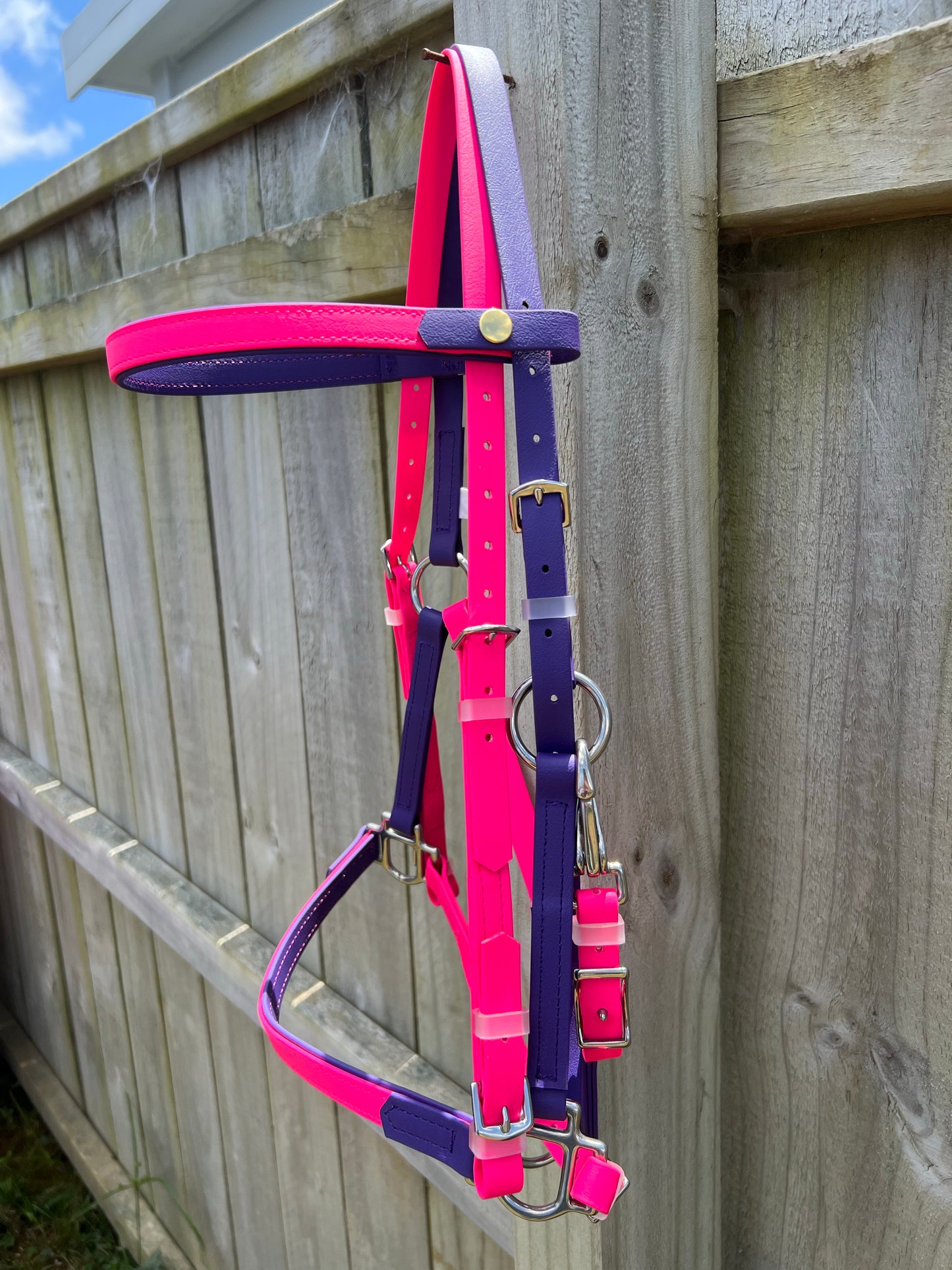 A vibrant LS Deux Bridle Double Layered from LS Equestrian, featuring striking pink and purple straps with silver hardware, hangs on a wooden fence. The sun casts a glow on its bold colors against the backdrop of a clear blue sky, making it perfect for endurance riding.
