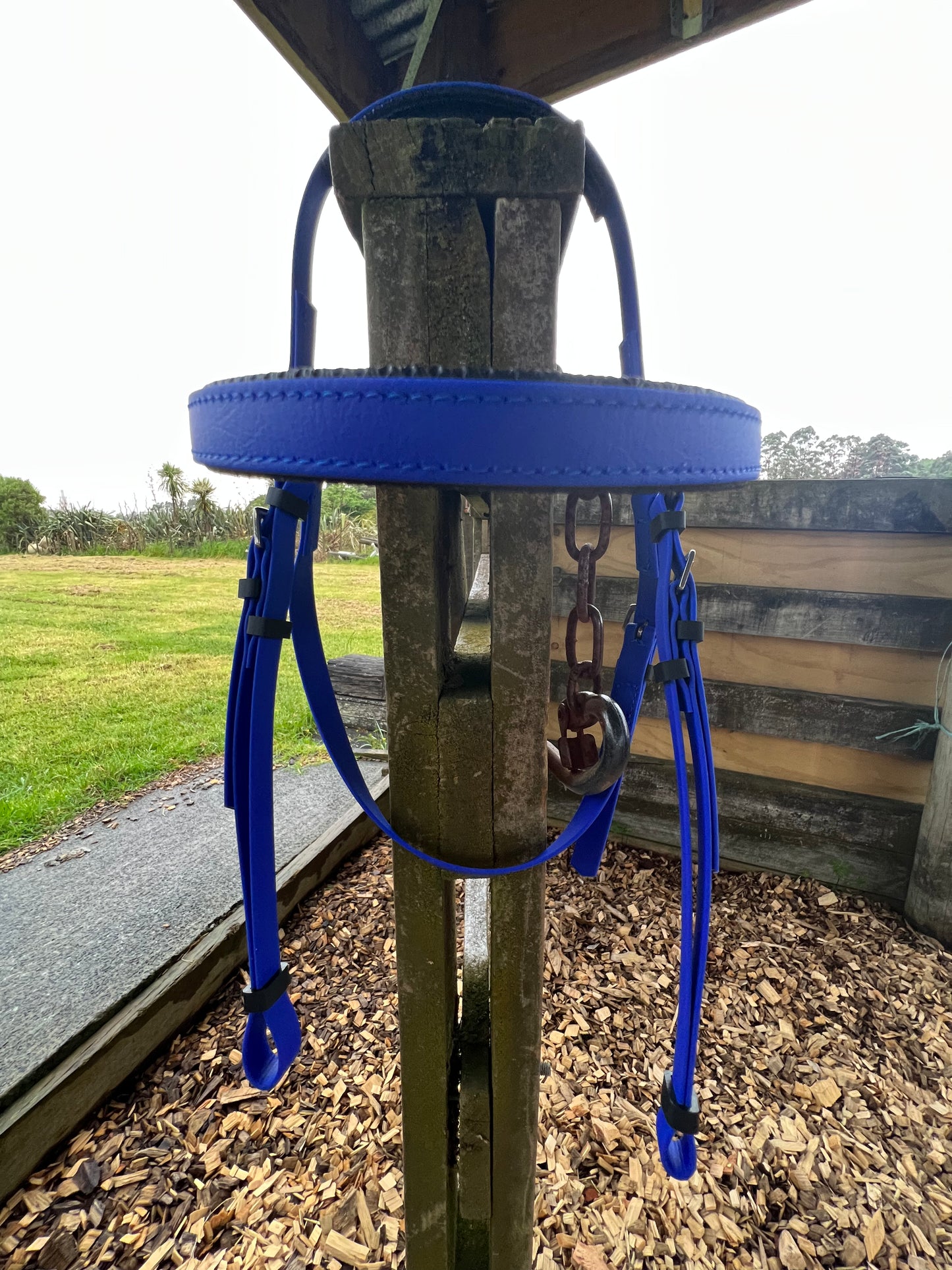 Brida LS Barcoo - Diseña la tuya propia