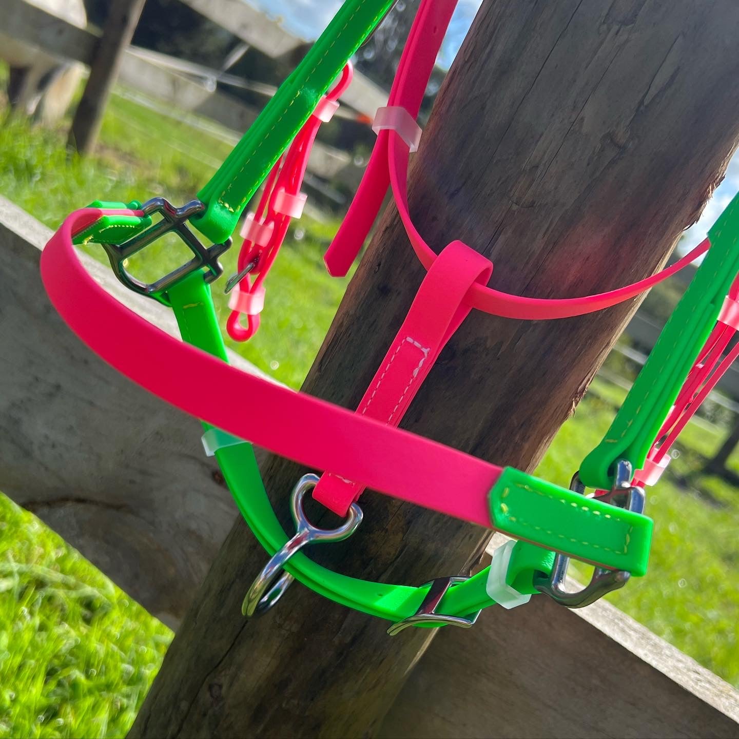 Brida LS Enduro - Verde brillante y rosa