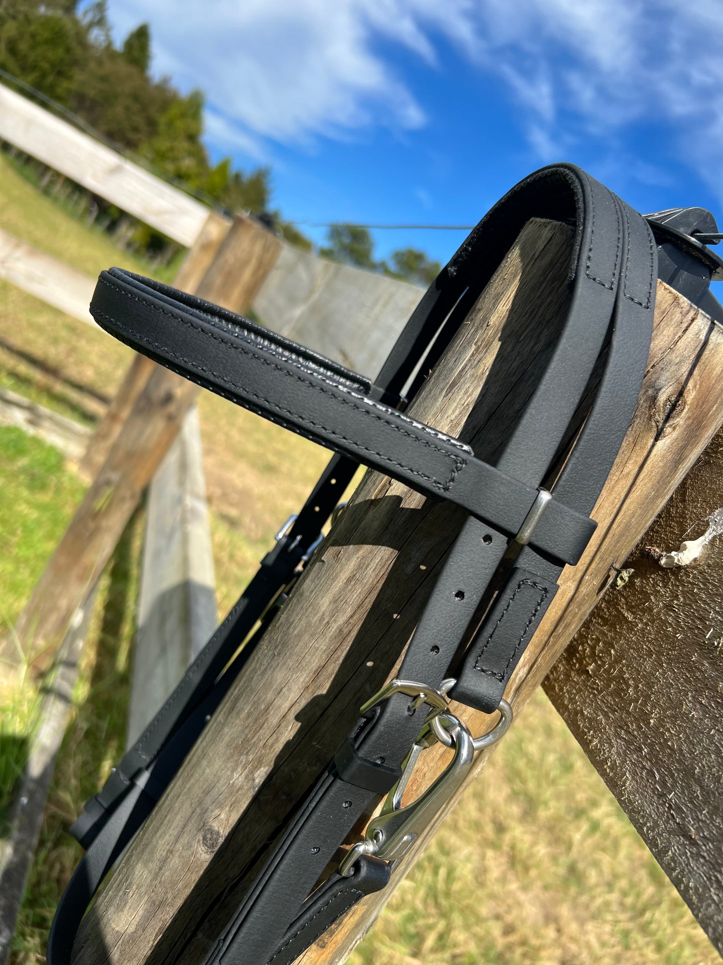 Race Bridle - black