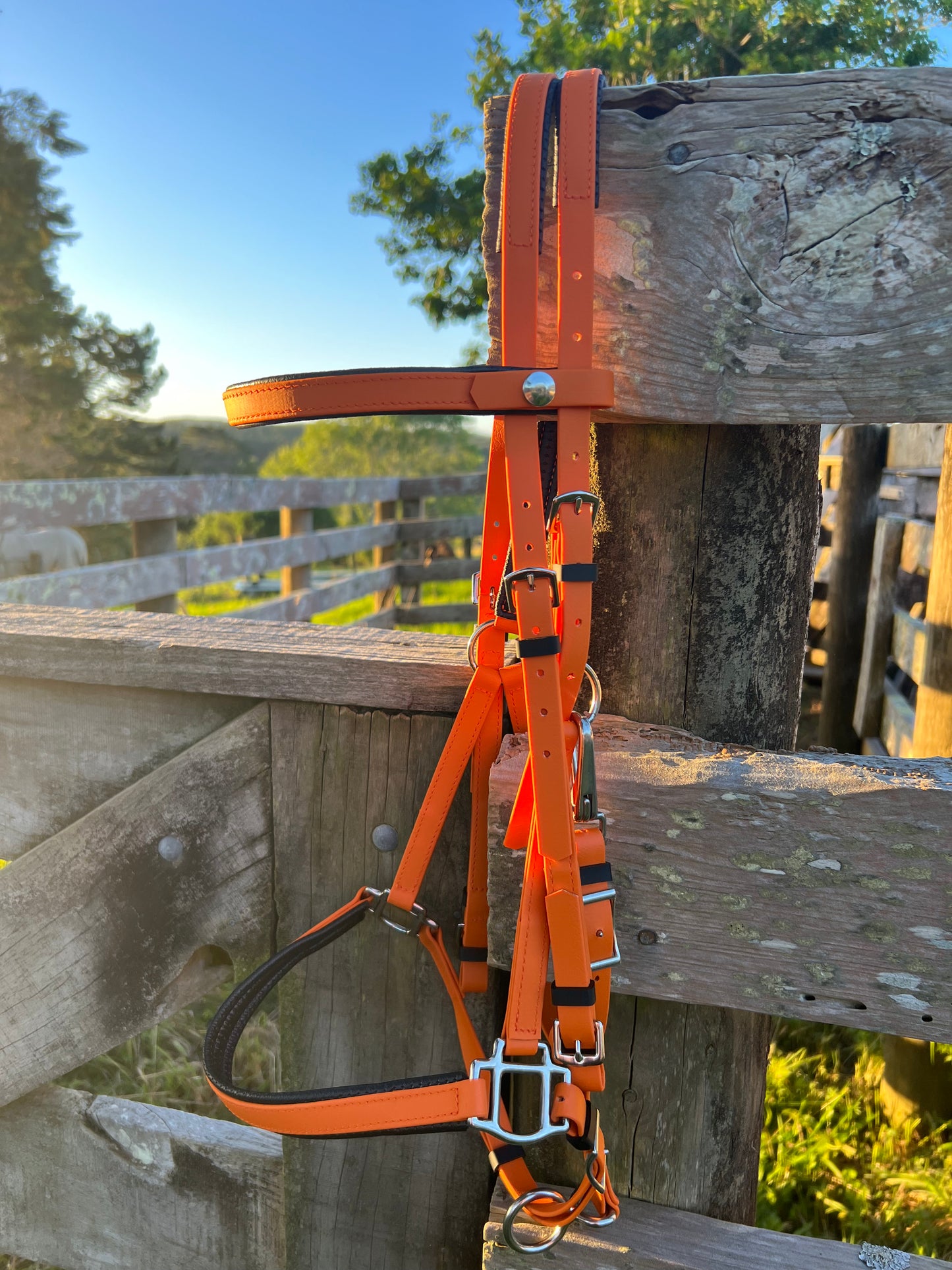 Cabezada LS Deux - Naranja quemada acolchada