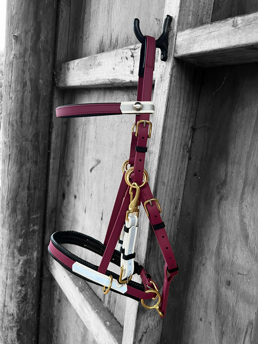 A wine-colored Reflective Multi Bridle from LS Equestrian, featuring white reflective details and gold buckles, hangs on a rustic wooden wall. The bridle is displayed on a ladder, highlighting its intricate design and craftsmanship.
