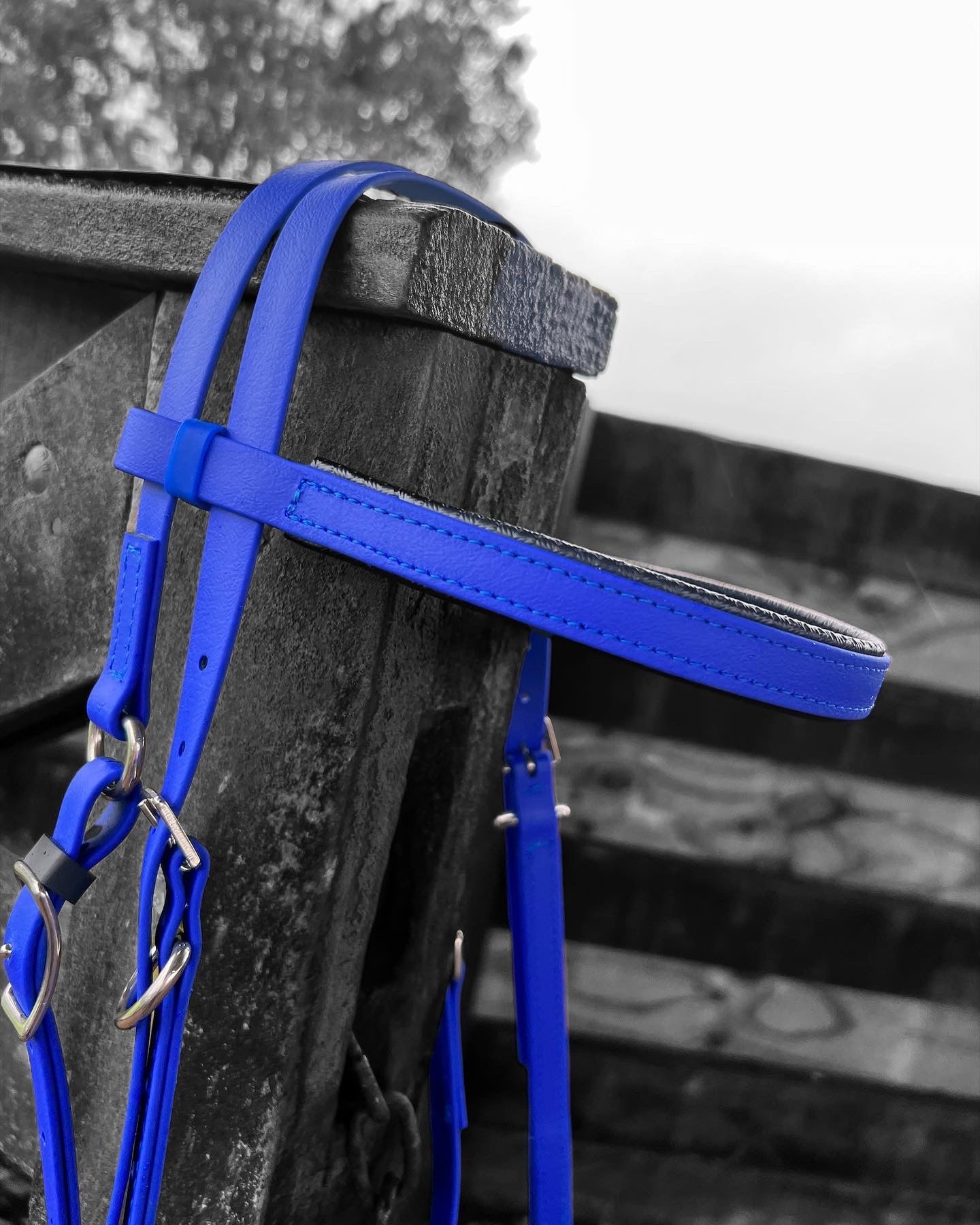 A Royal Blue BU522 Bitless Sidepull Bridle from LS Equestrian hangs on a weathered wooden fence. The desaturated background accentuates the vibrant color of this custom-made bridle against the grey tones of the wood and sky.