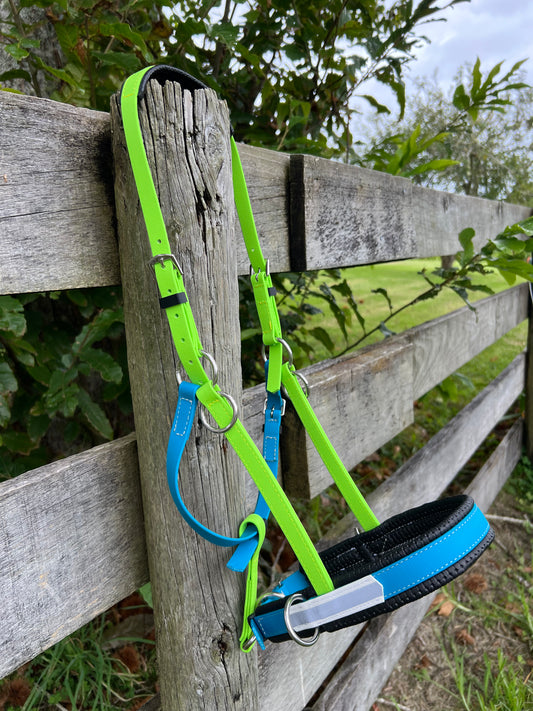 Reflective Multi Bridle - Apple Green, Lagune Blue & White Reflective