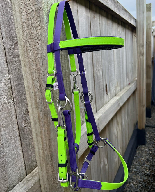 LS Enduro Bridle- Apple Green & Puple