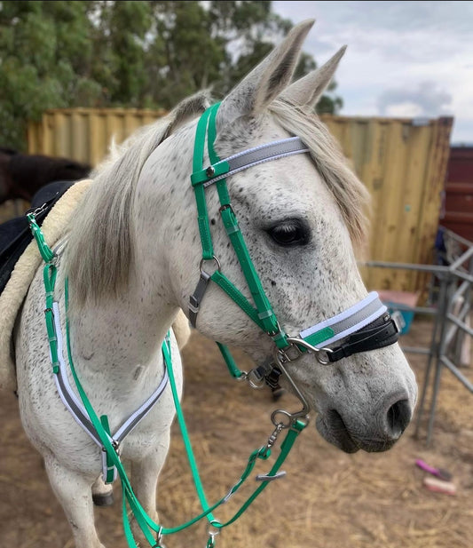 A white horse with grey speckles wears a LS Equestrian LS Deux Endurance 2-Part Padded Bridle in green and white, highlighting its versatility and comfort. It stands calmly in a paddock area with shipping containers behind it, facing left attentively.