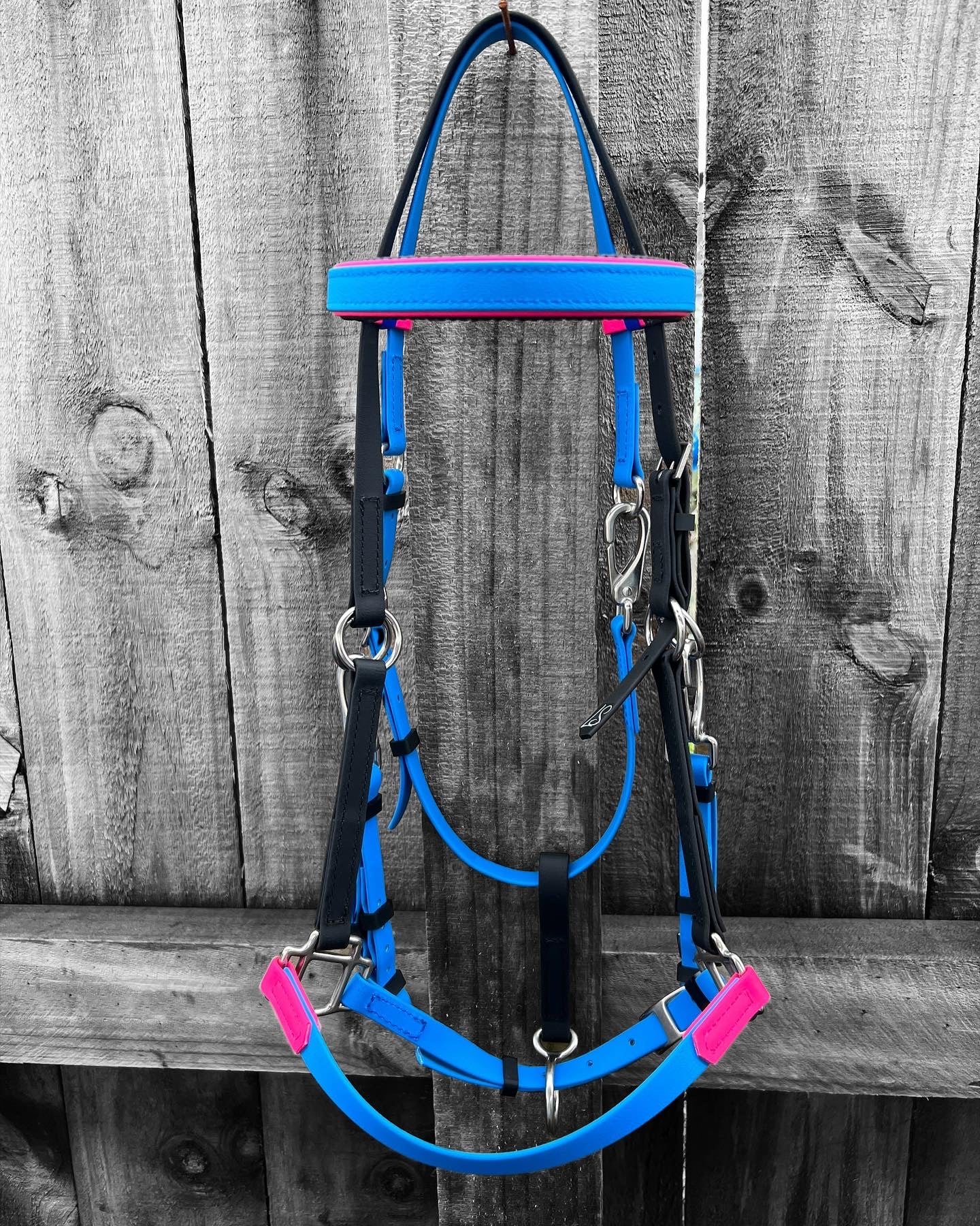 Brida LS Enduro: azul cian, negro y rosa fuerte