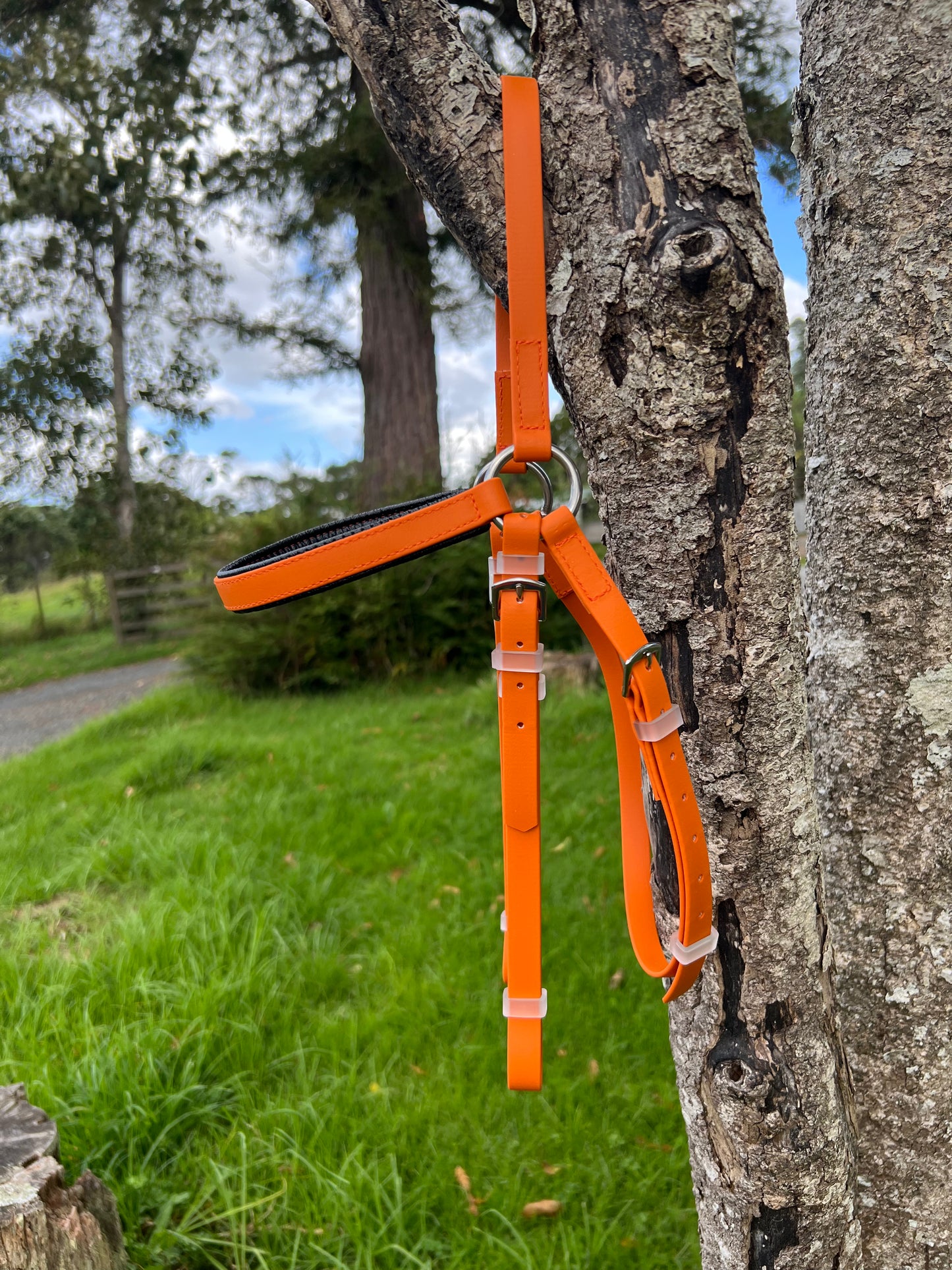 Brida LS Barcoo - Naranja Quemado