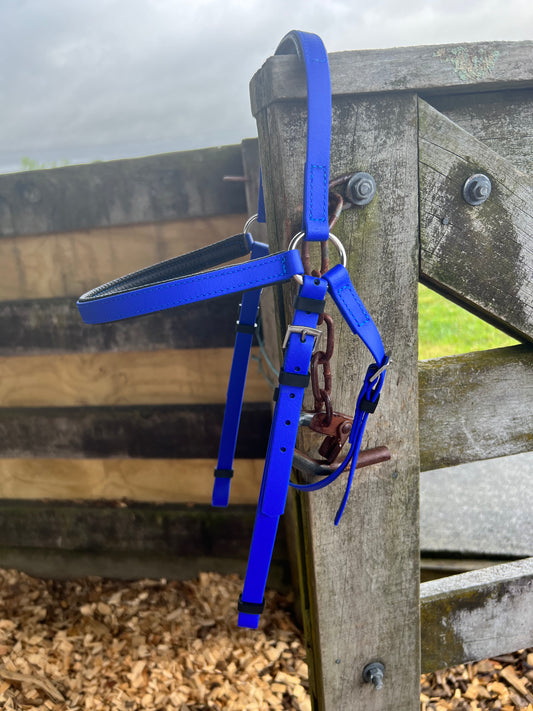 LS Barcoo Bridle - Royal Blue