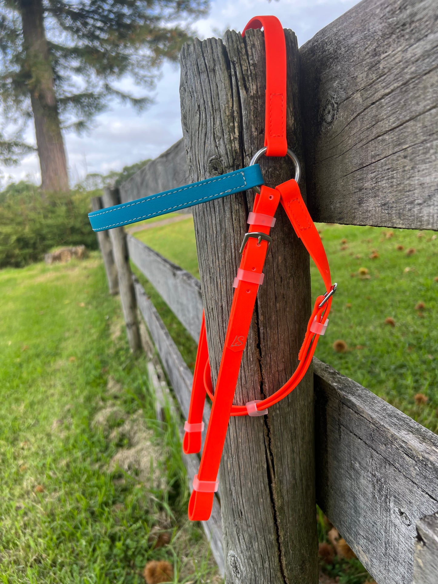 Brida LS Barcoo - Lagune y Naranja Brillante