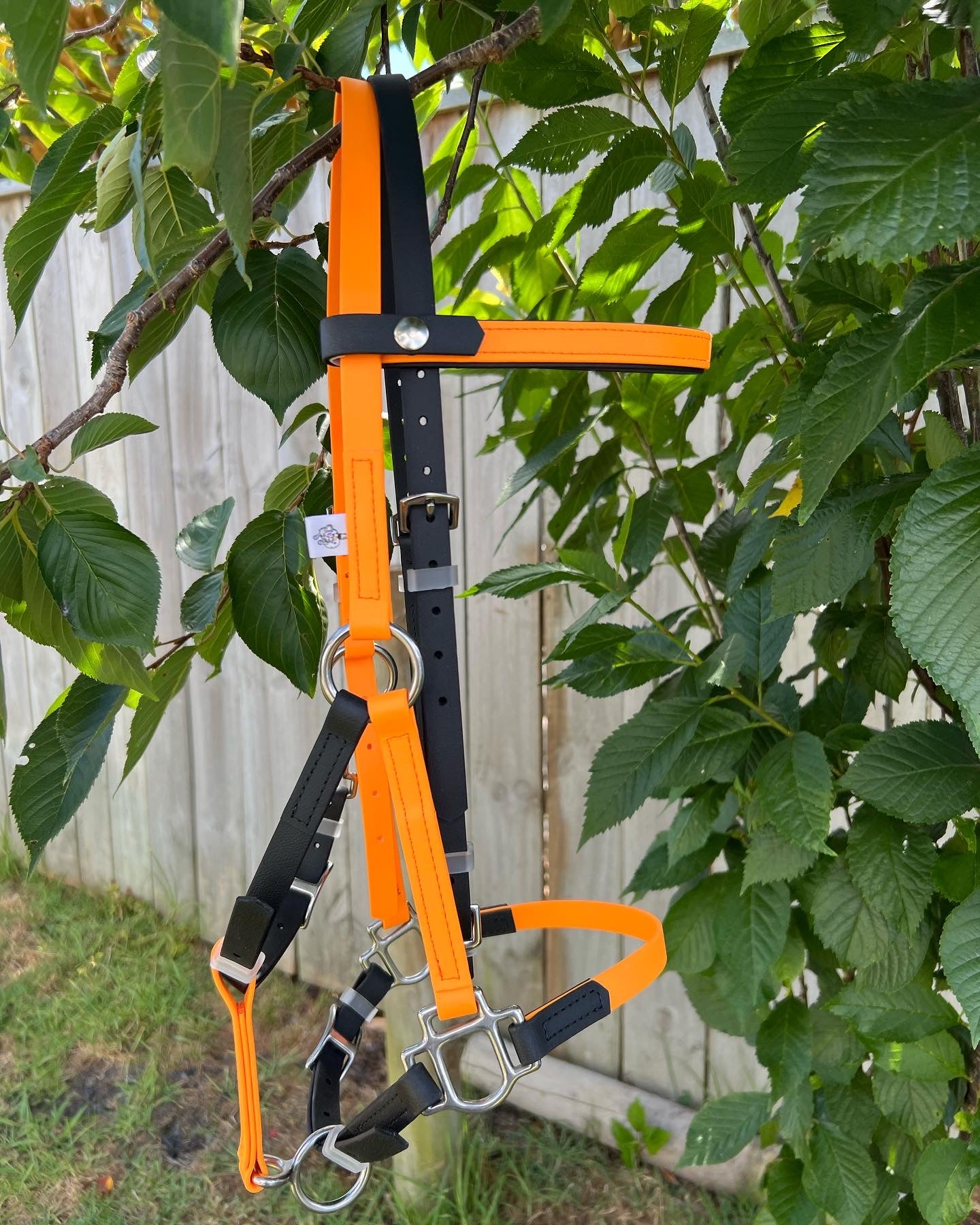 Cabezada LS Deux de doble capa - Naranja pastel y negro