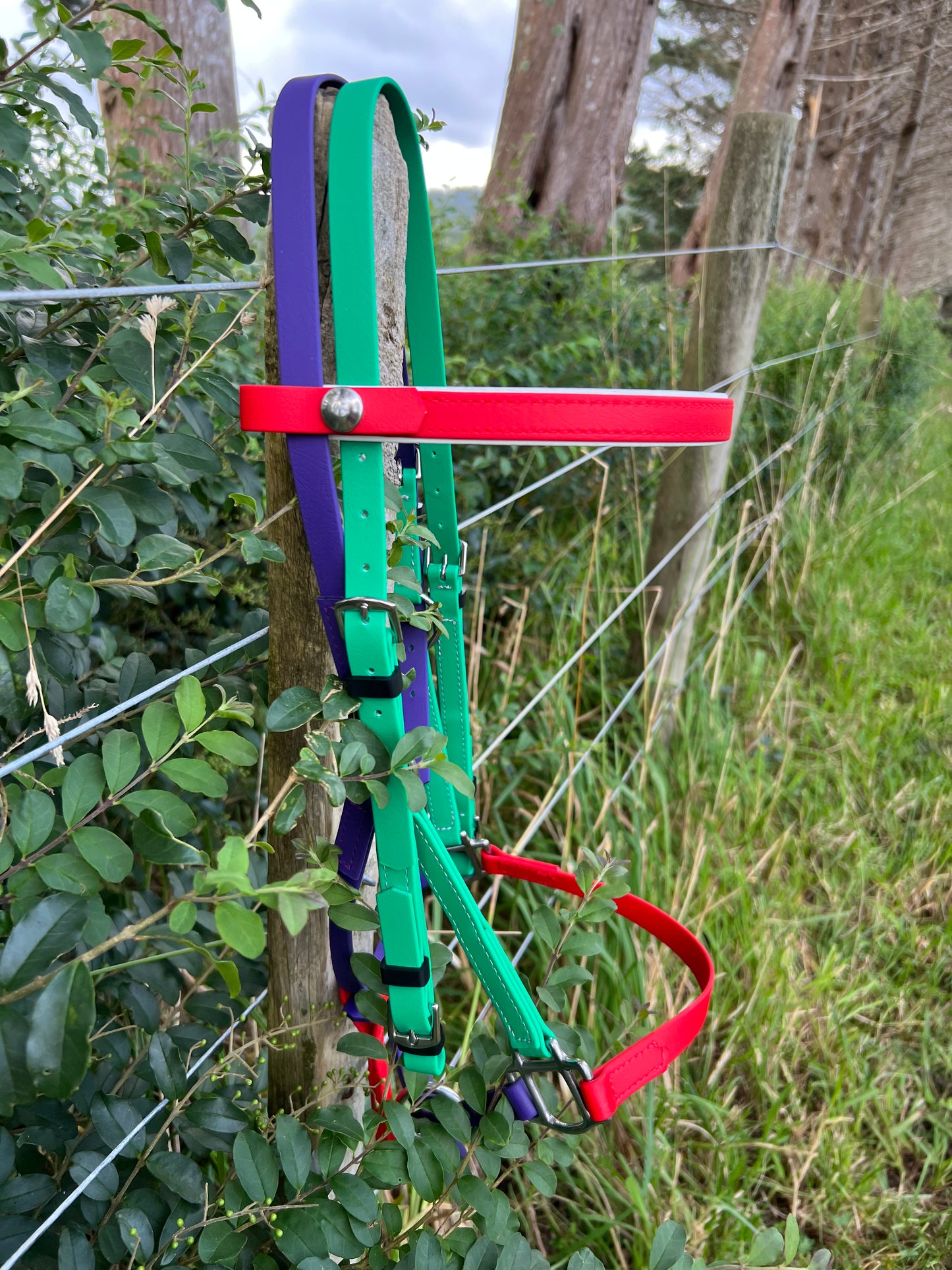 Brida LS Deux - Rojo, Verde Esmeralda y Morado