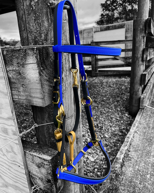 A Royal Blue, black, and gold LS Enduro Bridle by LS Equestrian is draped over a wooden fence in a rustic outdoor setting. The background, featuring trees and a dirt path, is partially in black and white with the bridle standing out in color—an ideal choice for endurance riders looking for both durability and style.
