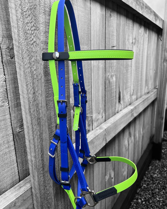 An LS Equestrian Deux Bridle in vivid Apple Green, Royal Blue, and a hint of Black, expertly crafted with Beta BioThane and handmade in New Zealand, hangs on a wooden fence. The grayscale of the fence and ground highlights the bridle's bright colors against the muted backdrop.