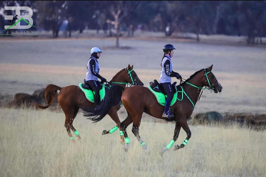 Getting started in endurance riding