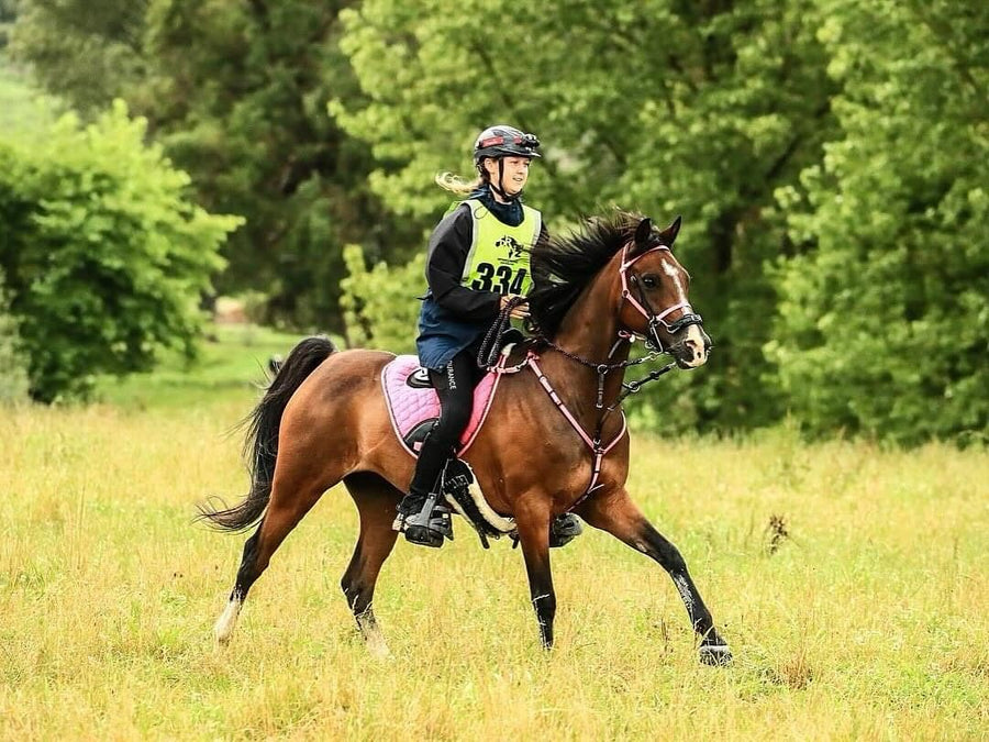 Bitless Bridles Explained