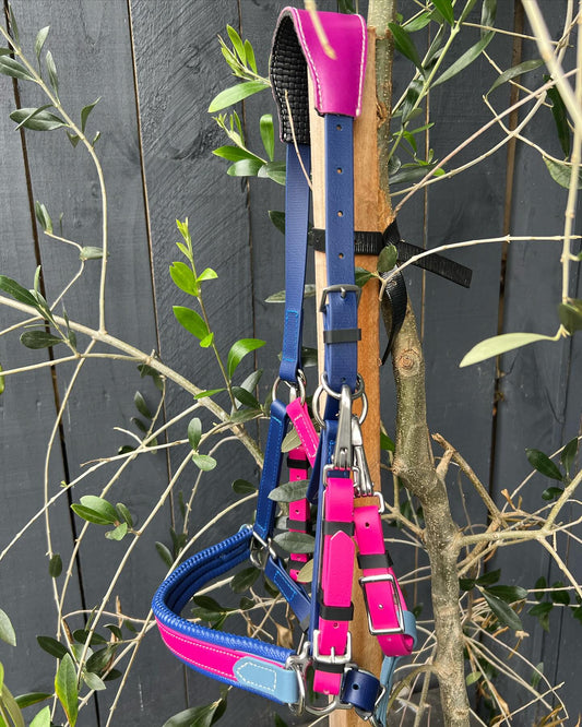 Bitless bridle, BioThane bridle, Halter Bridle, Endurance bridle, BioThane, Bridle