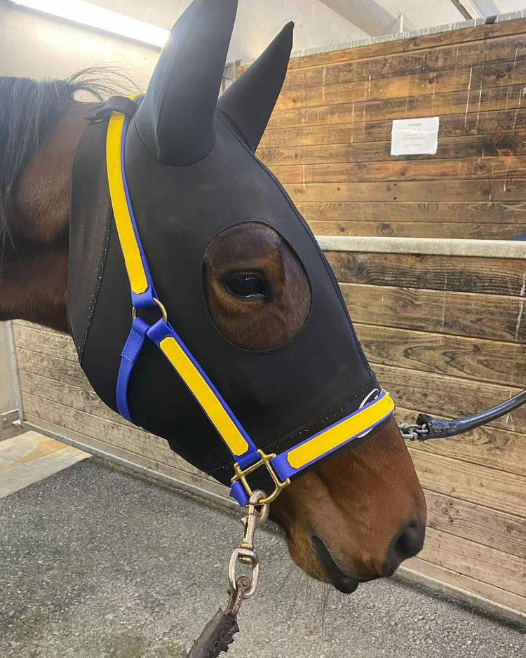 LS Harness & Racing Tack