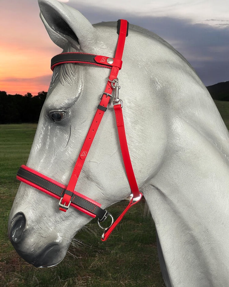 LS Simplicity BioThane® Bridles