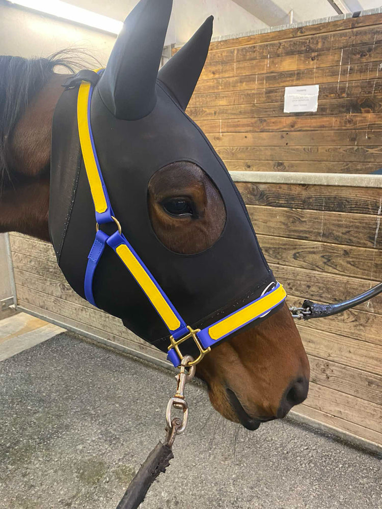 LS BioThane® Racing Tack
