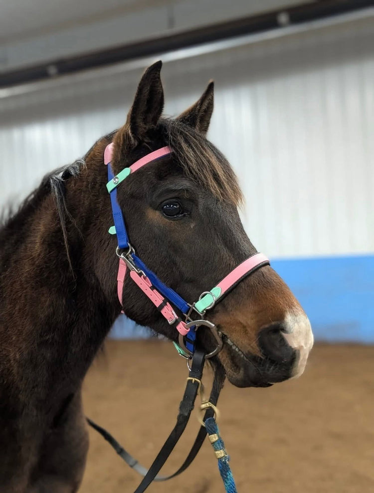 Style Your Own - Bridles