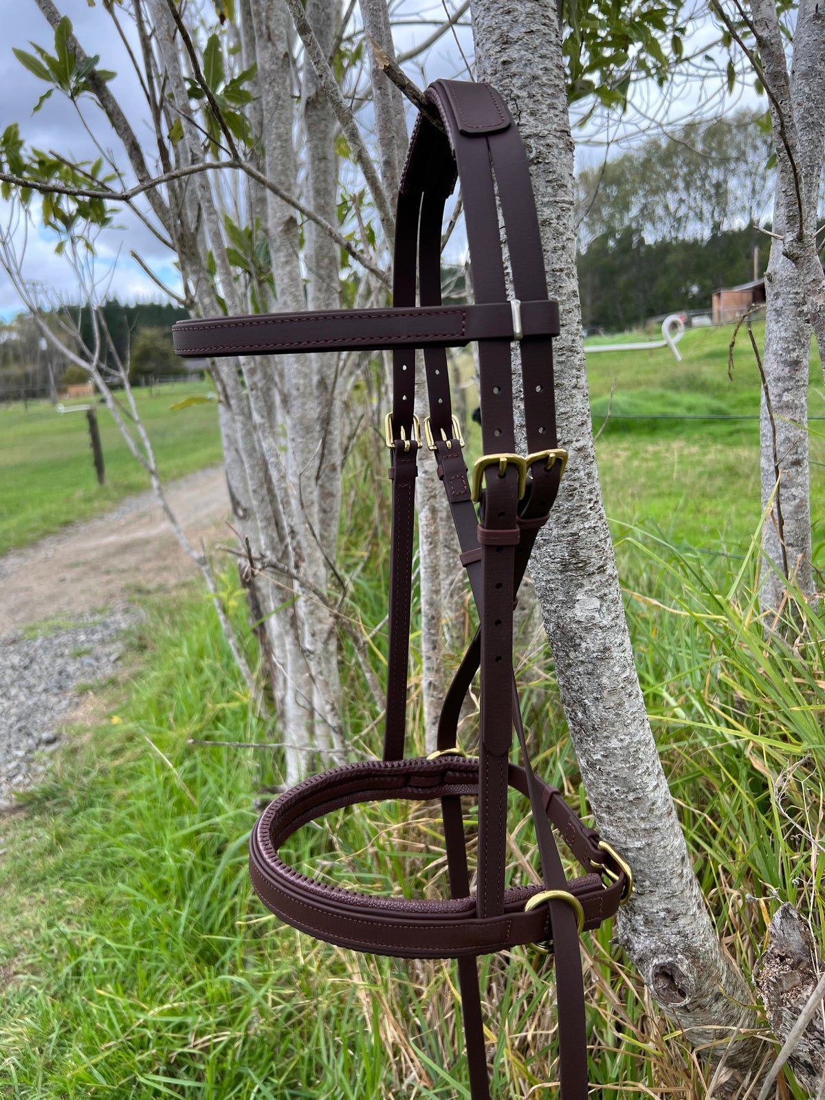 Crossunder Bitless Bridles