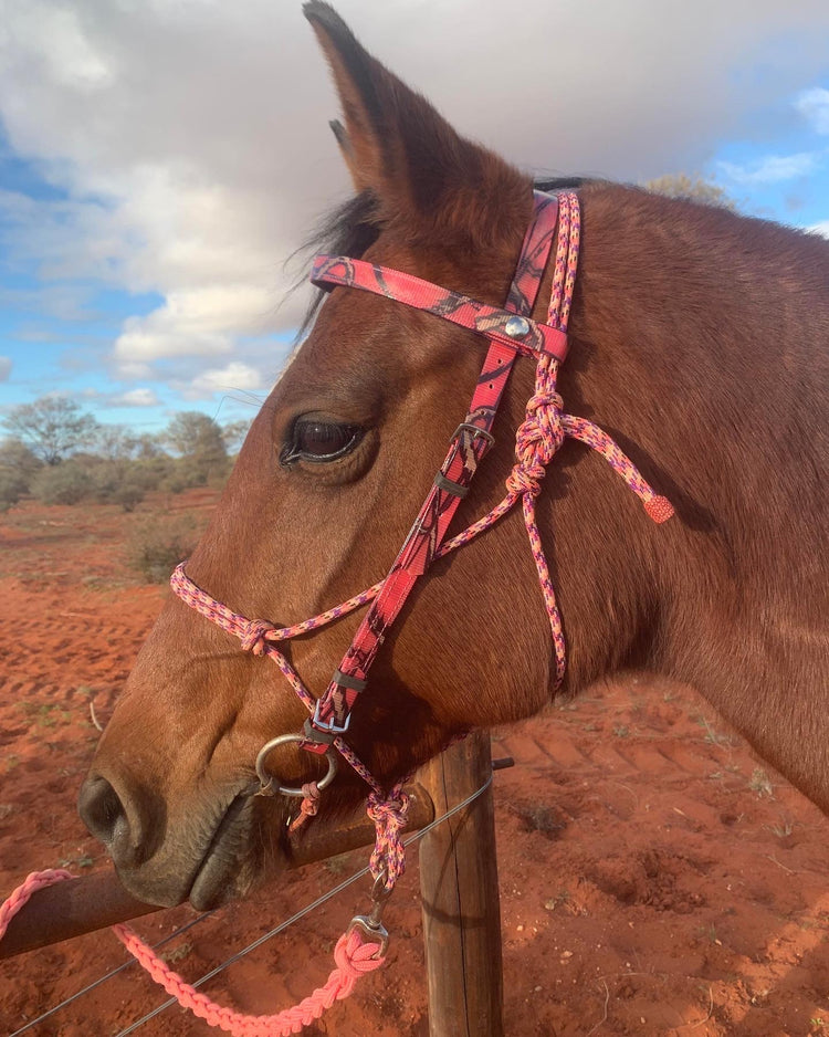 A brown horse with a pink patterned bridle stands calmly by a fence. The background features a reddish-brown landscape and a partly cloudy sky.