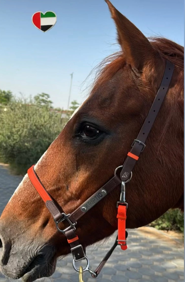 Style Your Own - Halters