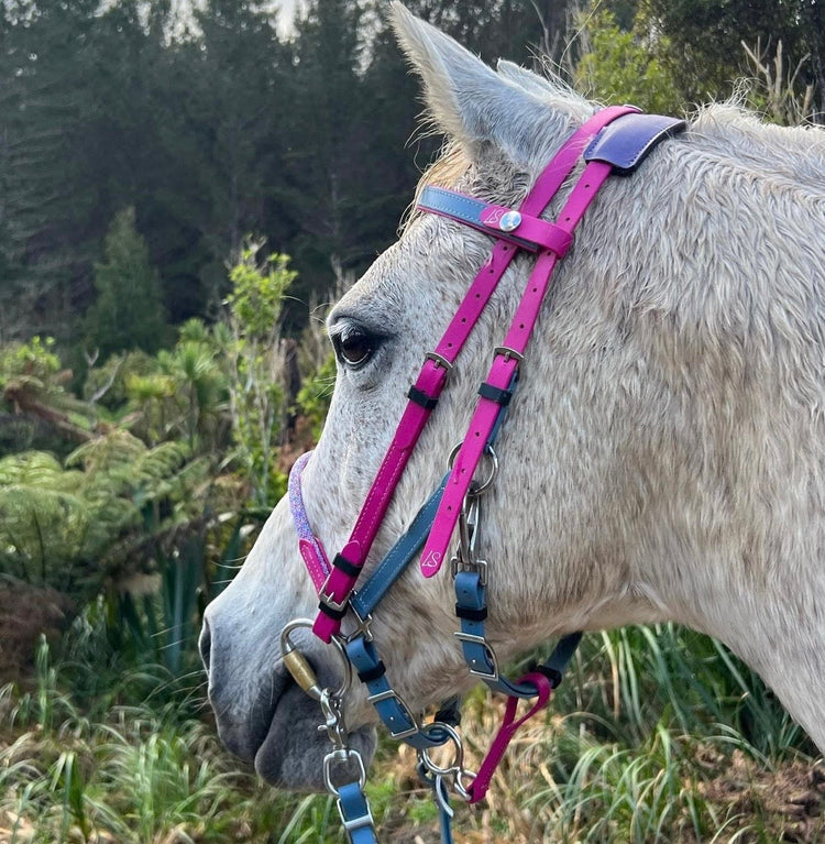 Grey horse wearing custom LS Equestrian BioThane bridle