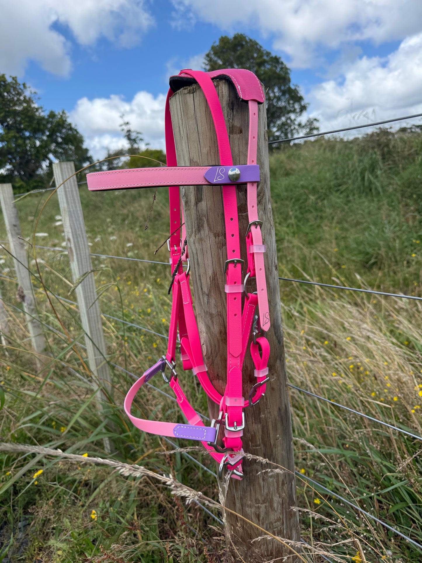 LS Deux Endurance 2 Part Bridle