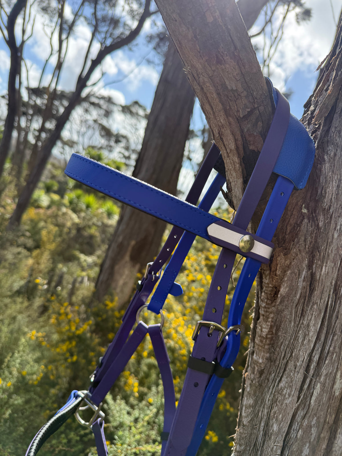 LS Dome Snap Reflective Browband - Design Your Own