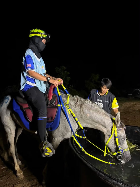 LS Enduro Reflective Bridle