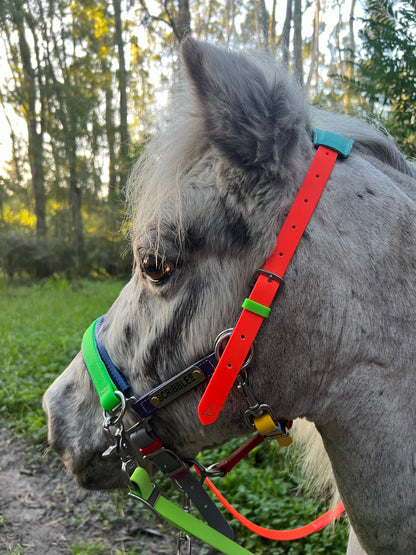 Biothane®️ Endurance Bridle, 2 part bridle, deluxe bridle, trekking bridle, bridle. Equestrian, horse tack, endurance tack, biothane tack, bitless bridle, trekking bridle, horse, equine, beta biothane, beta, reflective, reflective biothane, reflective bridle, English bridle, cavesson bridle, Hanoverian bridle, English bridle, bridle with flash, flash noseband, racing bridle, race bridle, hackamore bridle, multi bridle, kids bridle, kids rainbow bridle, rainbow bridle, halter bridle