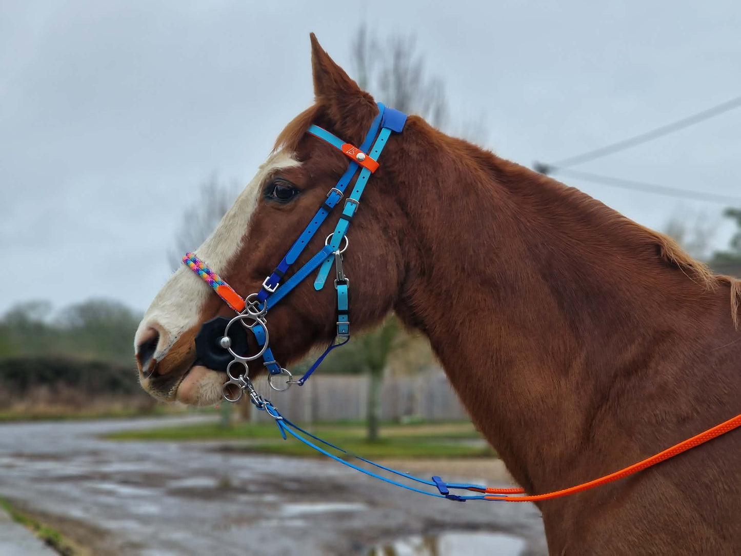 LS Crossover©️ Deux Endurance 2-Part Bridle with Rope Noseband