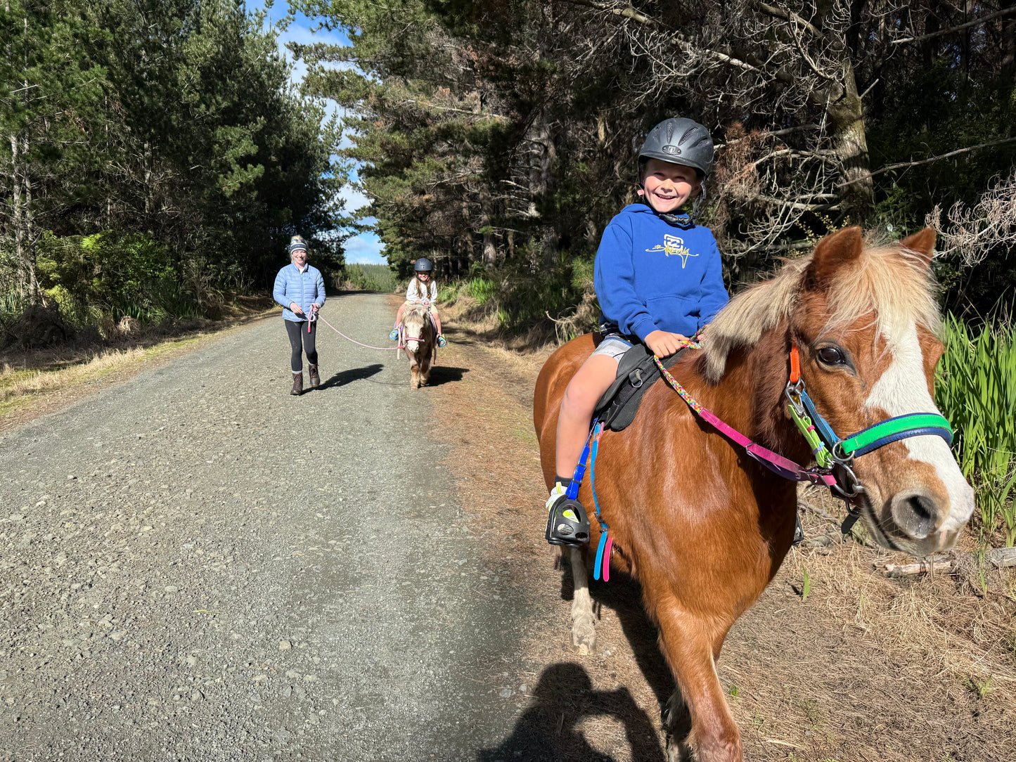 LS Scribbles Bitless Sidepull Halter Bridle