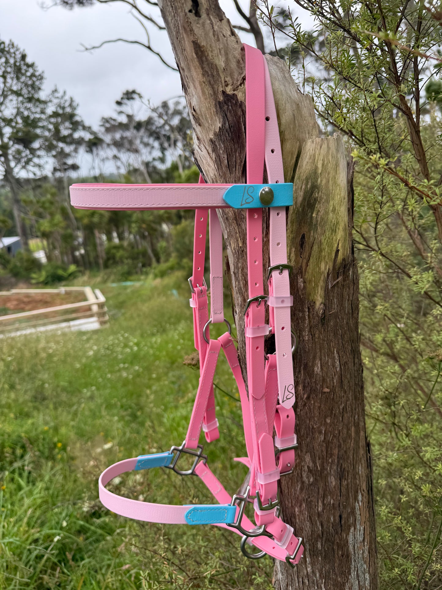 LS Deux Endurance 2 Part Bridle