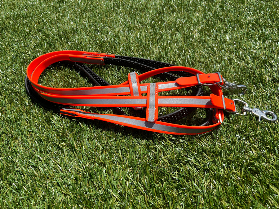 Reins