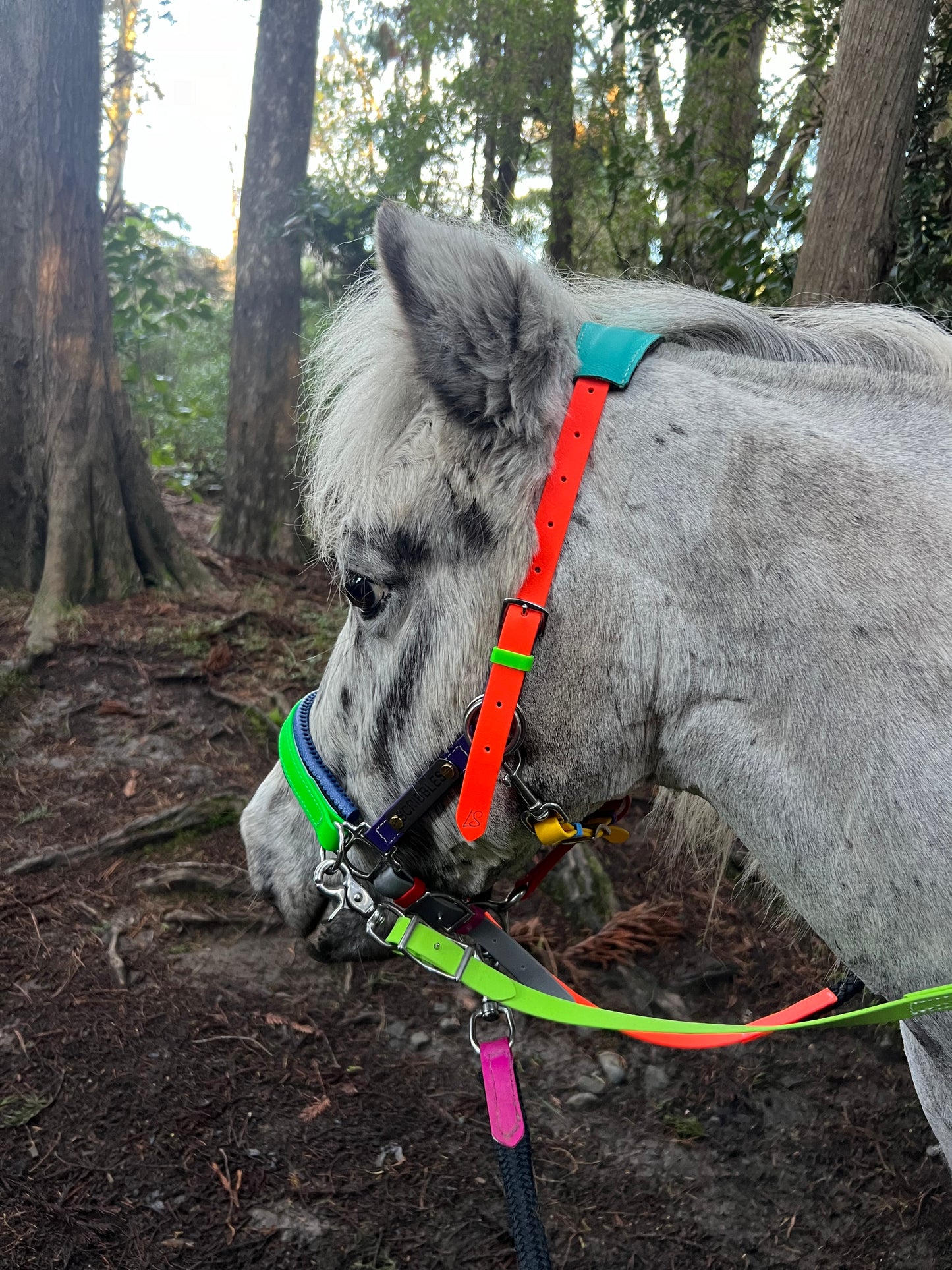 Biothane®️ Endurance Bridle, 2 part bridle, deluxe bridle, trekking bridle, bridle. Equestrian, horse tack, endurance tack, biothane tack, bitless bridle, trekking bridle, horse, equine, beta biothane, beta, reflective, reflective biothane, reflective bridle, English bridle, cavesson bridle, Hanoverian bridle, English bridle, bridle with flash, flash noseband, racing bridle, race bridle, hackamore bridle, multi bridle, kids bridle, kids rainbow bridle, rainbow bridle, halter bridle