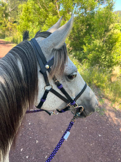 LS Deux Endurance 2 Part Bridle